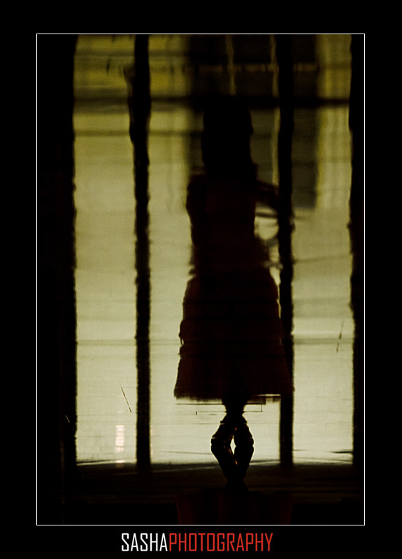 san-francisco-city-hall-wedding-photo-102