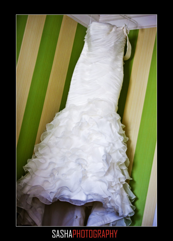 wedding gown sir francis drake