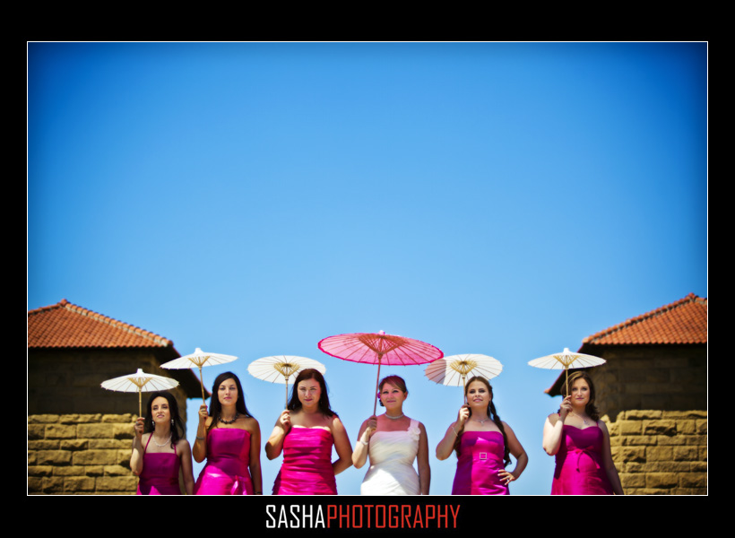 bridal party photo stanford