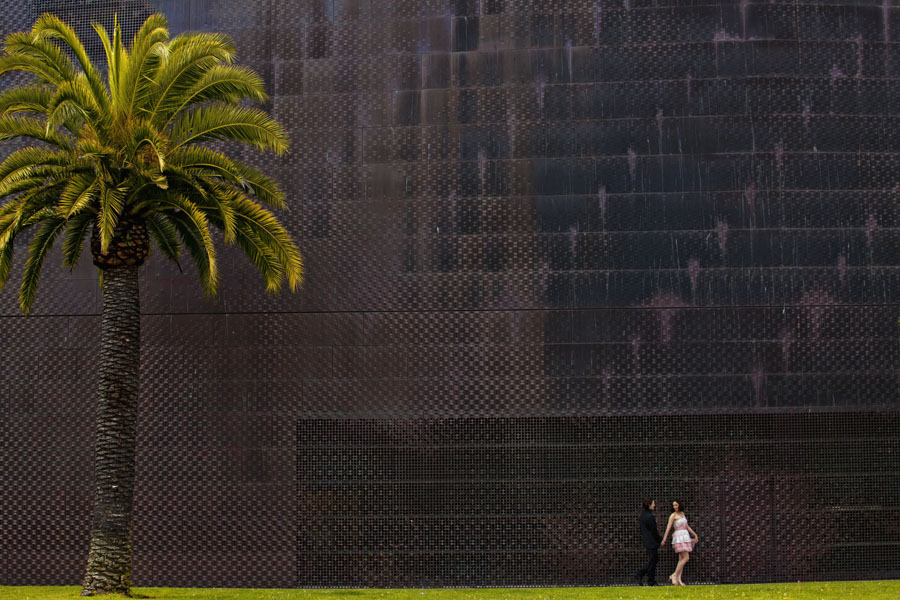 de young museum engagement session