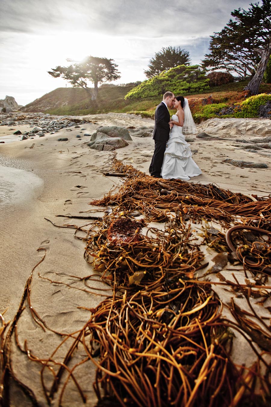 carmel wedding stewarts cove