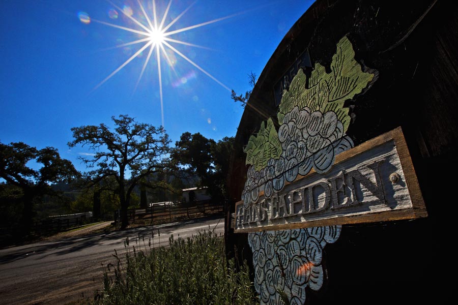hans fahden vineyards wedding