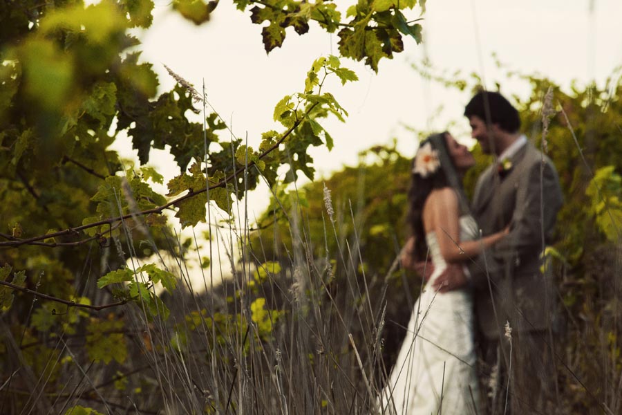 hans fahden vineyards wedding