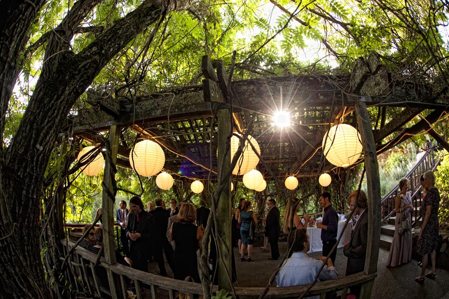 hans fahden vineyards wedding