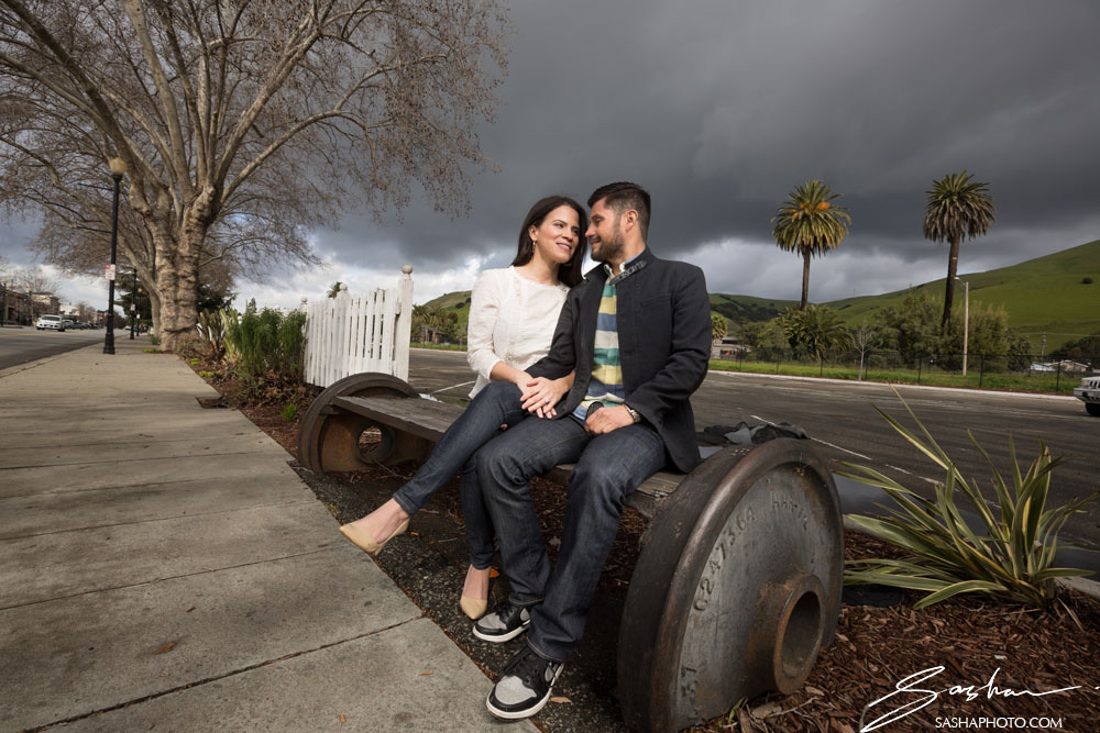 engagement session niles